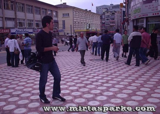 Deniz Yıldızı Parke Taşı