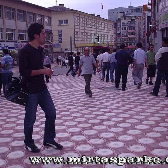 Deniz Yıldızı Parke Taşı