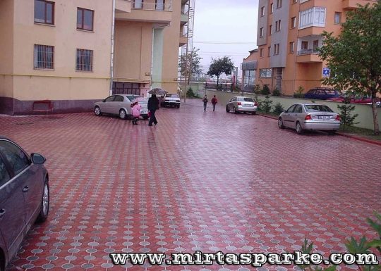 Deniz Yıldızı Parke Taşı